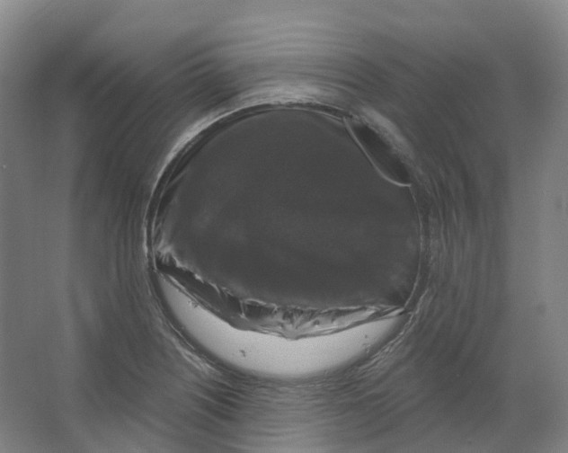 X0000066511226200604141739