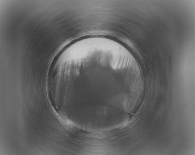 X0000066511229200604141740