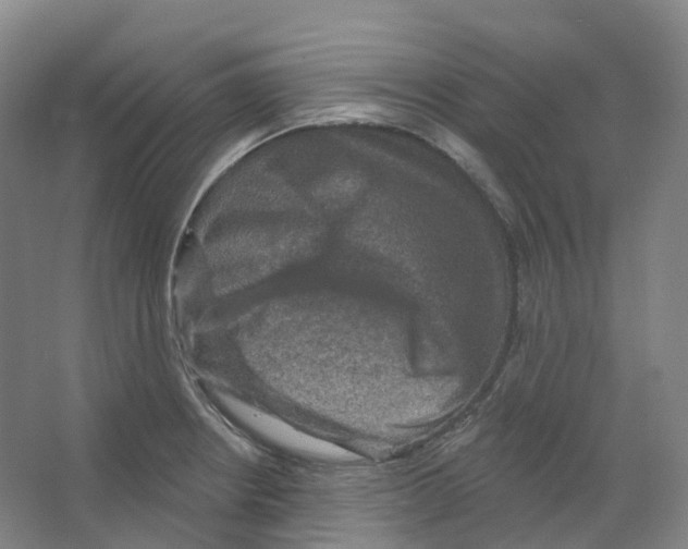 X0000066511234200604141740