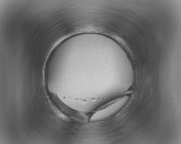 X0000066511238200604141740