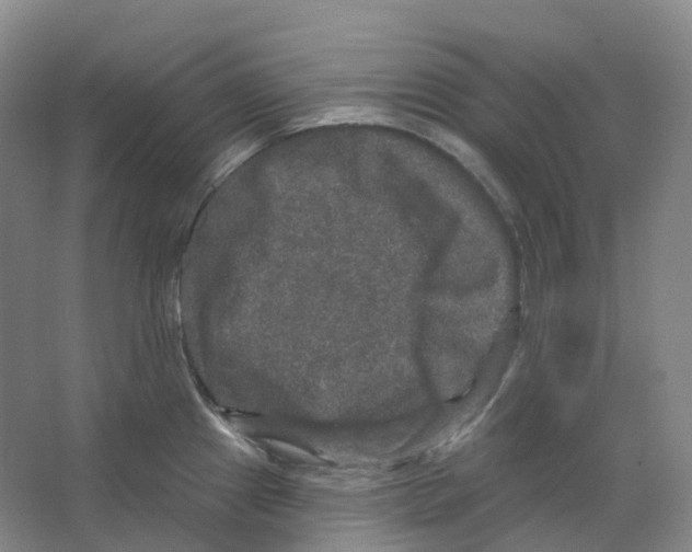 X0000066511241200604141740