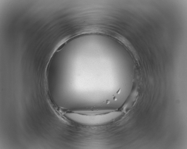 X0000066511242200604141740