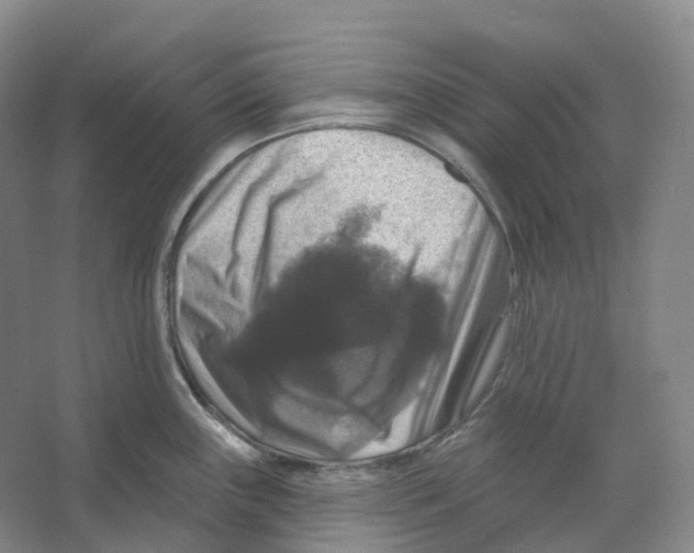 X0000066511243200604141740