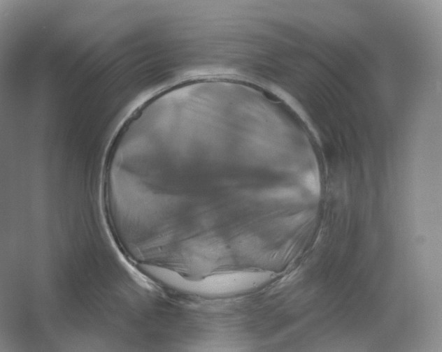 X0000066511245200604141740