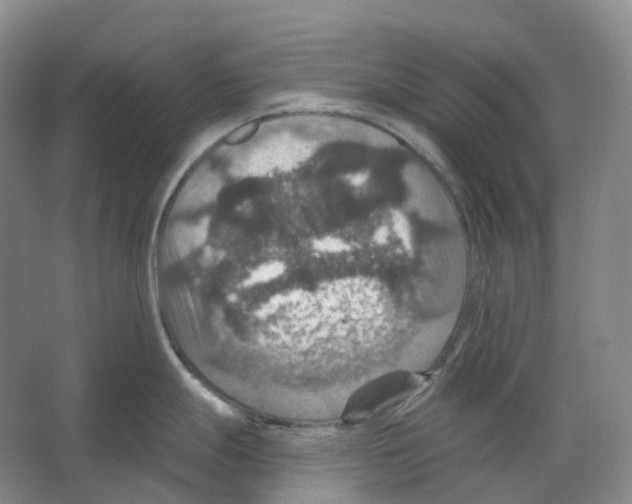 X0000066511247200604141740