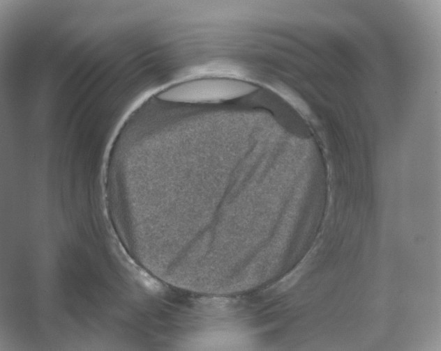 X0000066511248200604141740