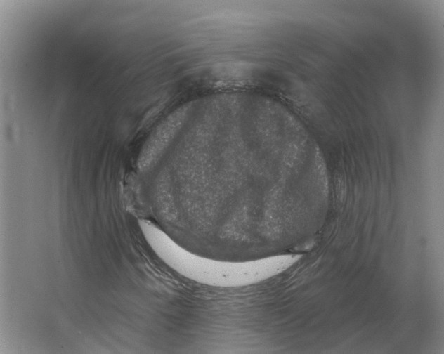 X0000066511250200604141739
