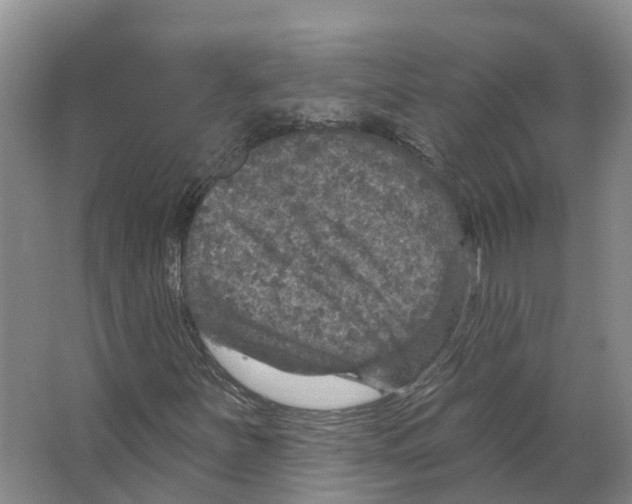 X0000066511251200604141739