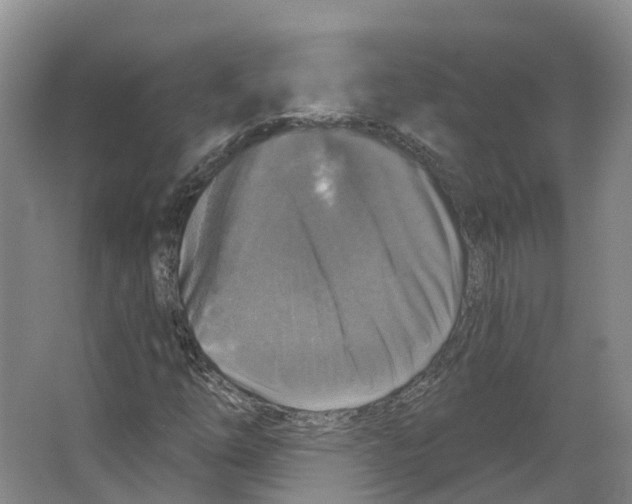X0000066511254200604141739