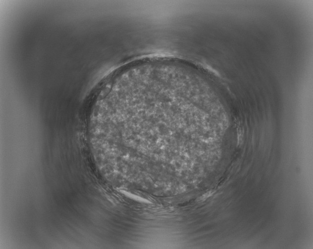 X0000066511255200604141739