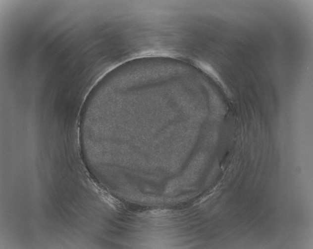X0000066511268200604141739
