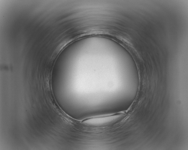 X0000066511273200604141739