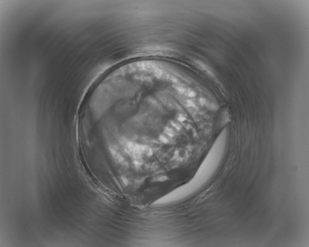 X0000066511275200604141739