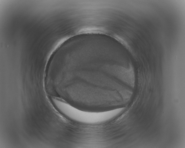 X0000066511277200604141739