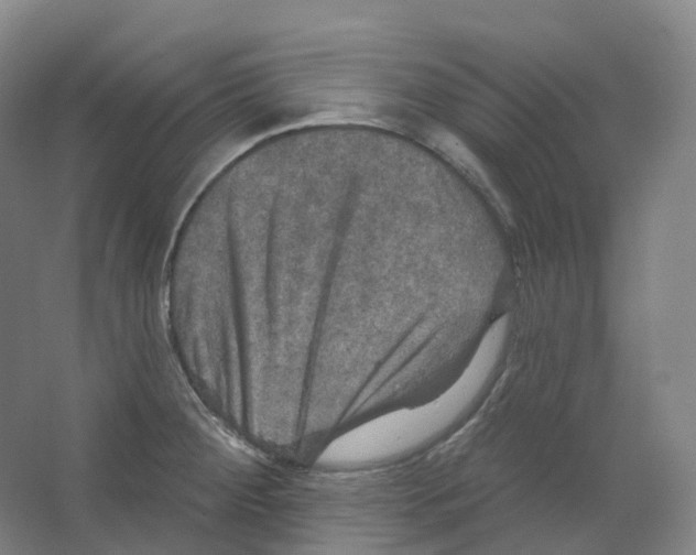 X0000066511284200604141738