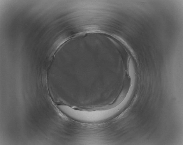 X0000066511289200604141738
