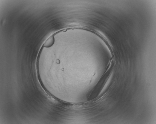 X0000066511291200604141738