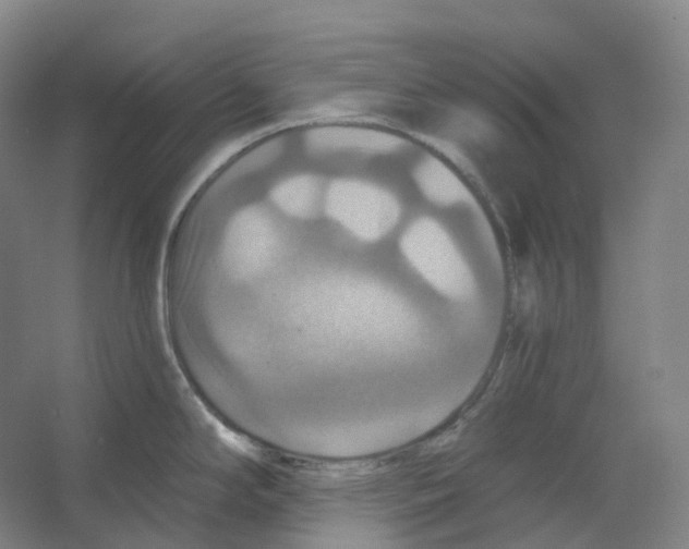 X0000066511294200604141738