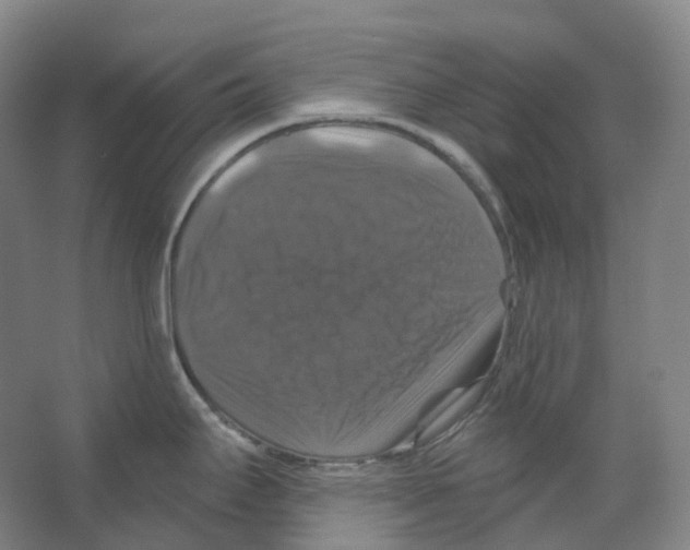 X0000066511295200604141738