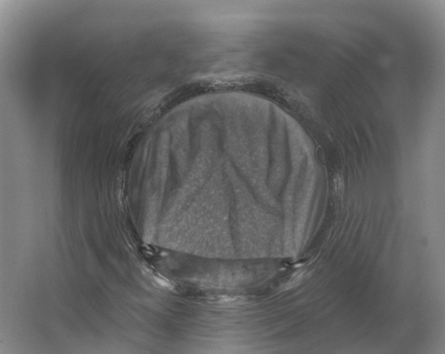 X0000066511300200604141738