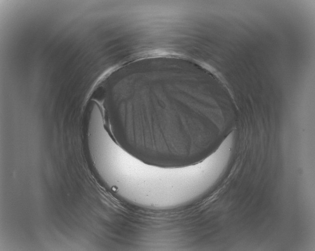 X0000066511314200604141738
