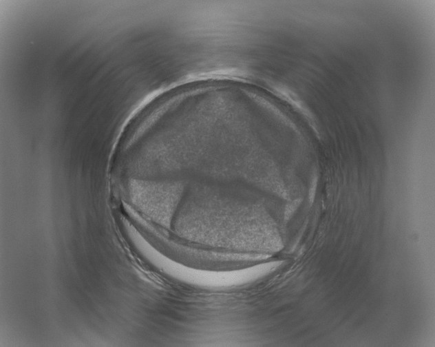 X0000066511316200604141738