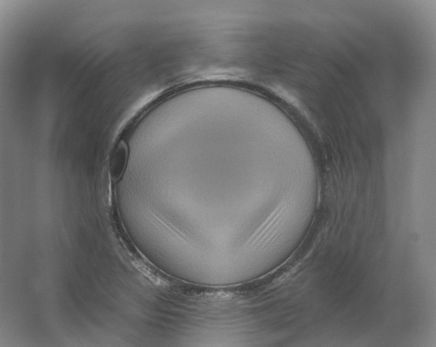 X0000066511317200604141738