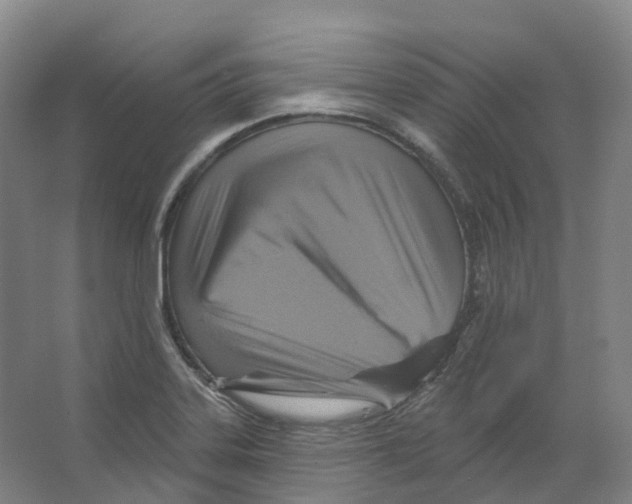 X0000066511323200604141738