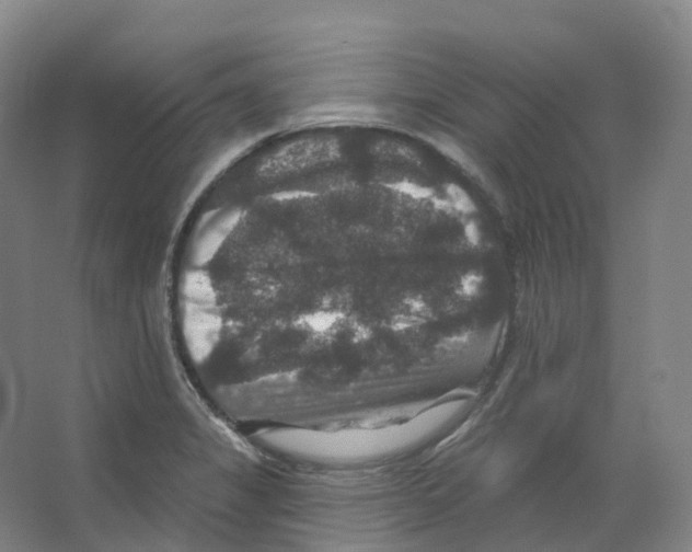 X0000066511325200604141738
