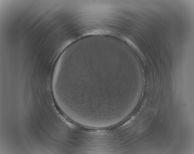 X0000066511329200604141738