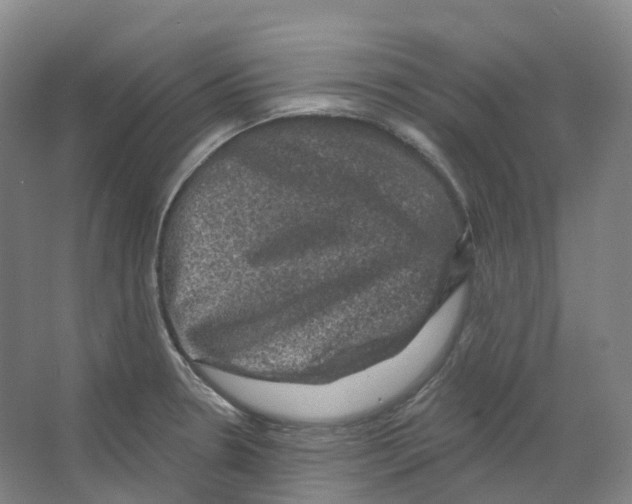 X0000066511330200604141738