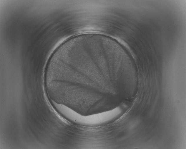 X0000066511333200604141738