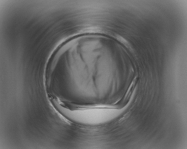 X0000066511334200604141738