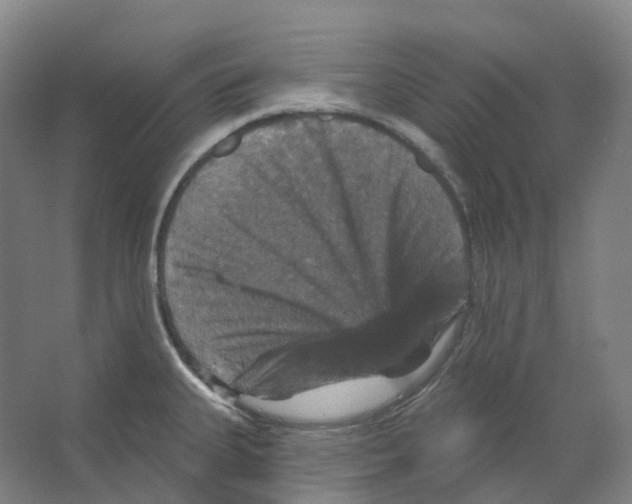 X0000066511335200604141738