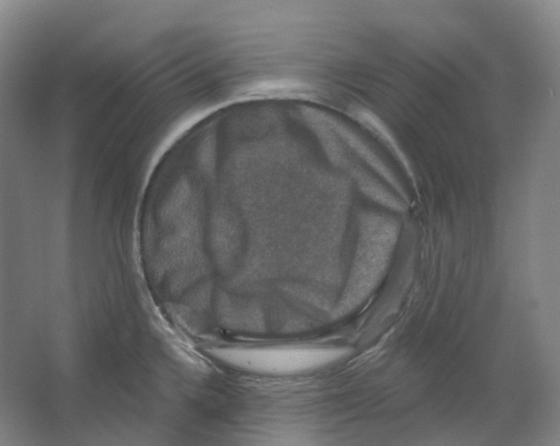 X0000066511336200604141738