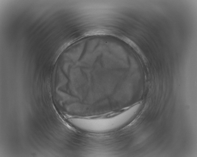 X0000066511337200604141738