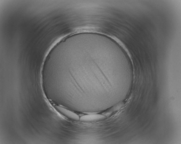 X0000066511341200604141738