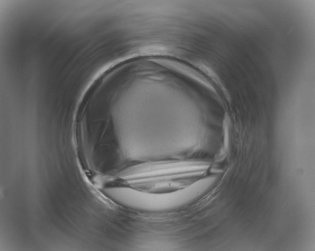 X0000066511342200604141738