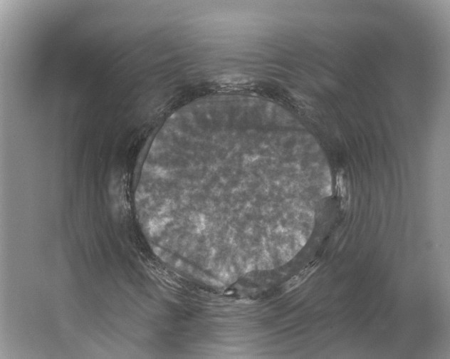 X0000066511346200604141737