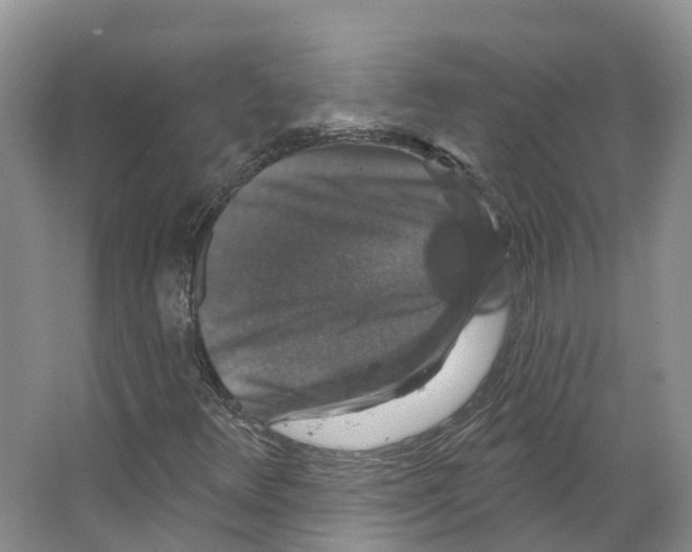 X0000066511348200604141737