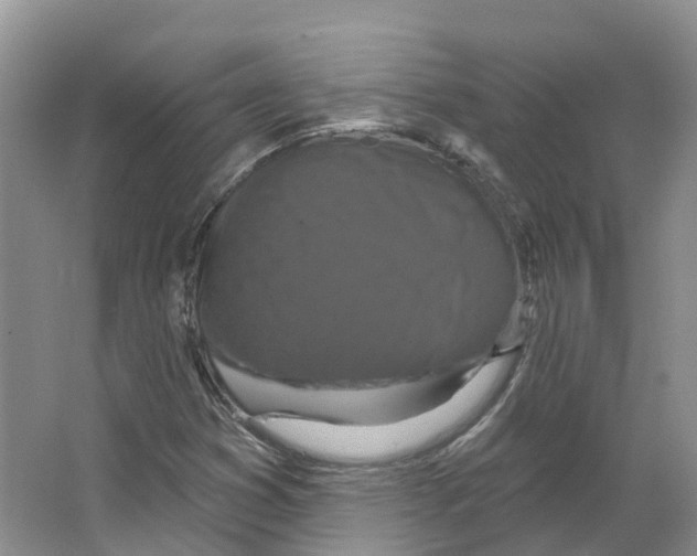 X0000066511353200604141737