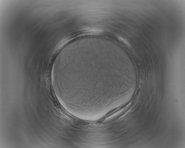 X0000066511354200604141737