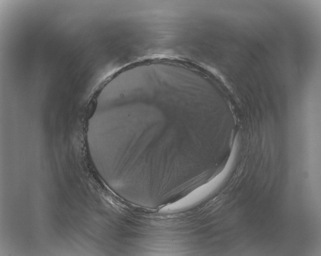 X0000066511359200604141737