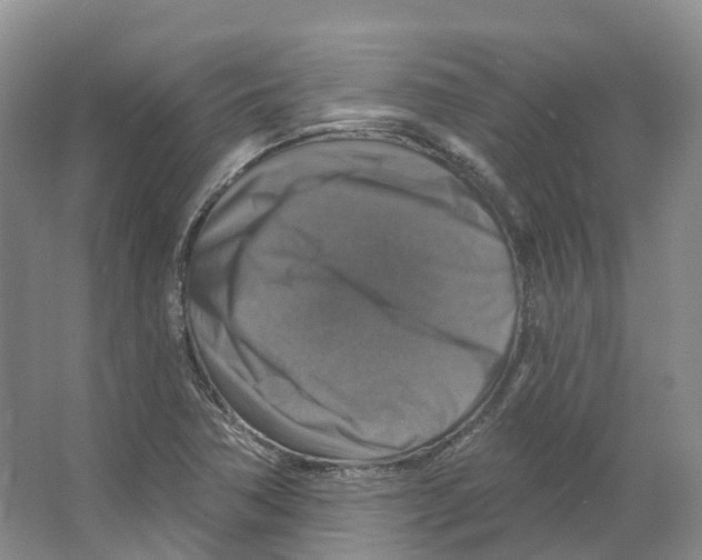 X0000066511362200604141737