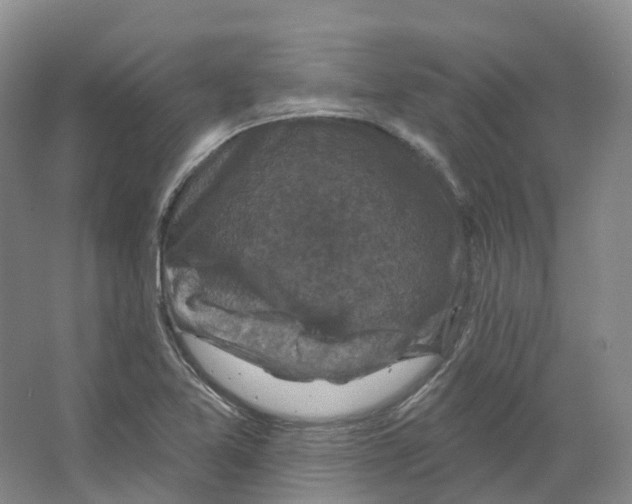 X0000066511365200604141737