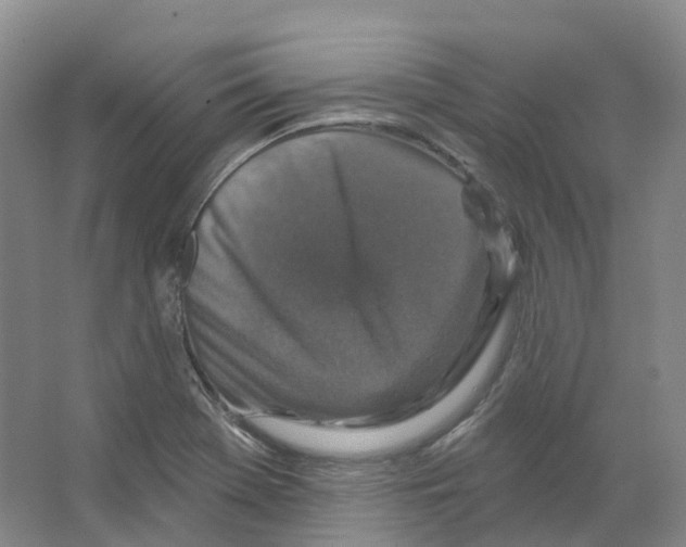 X0000066511369200604141737
