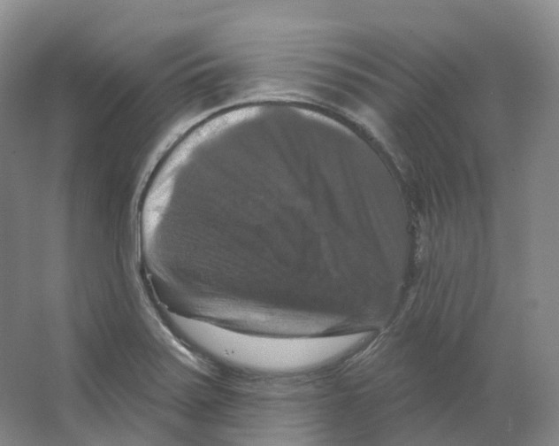 X0000066511371200604141737