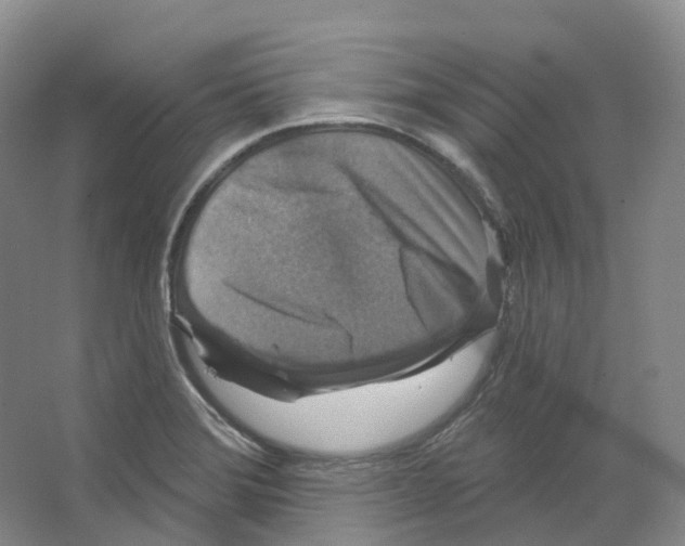 X0000066511372200604141737