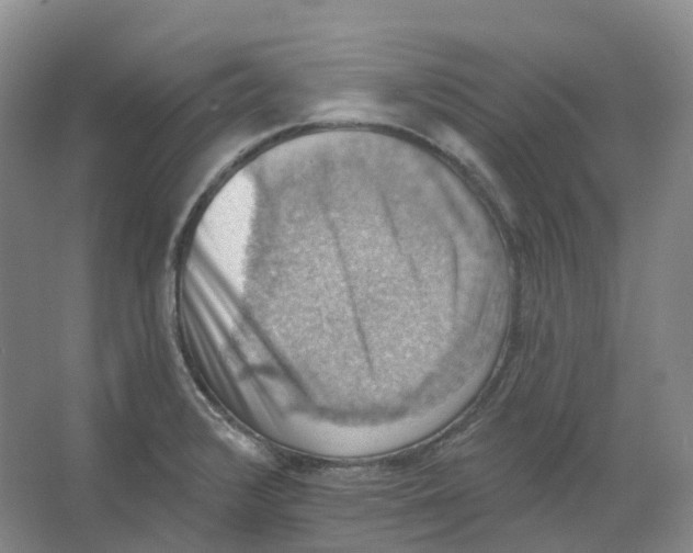 X0000066511376200604141737