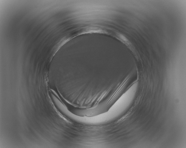 X0000066511377200604141737